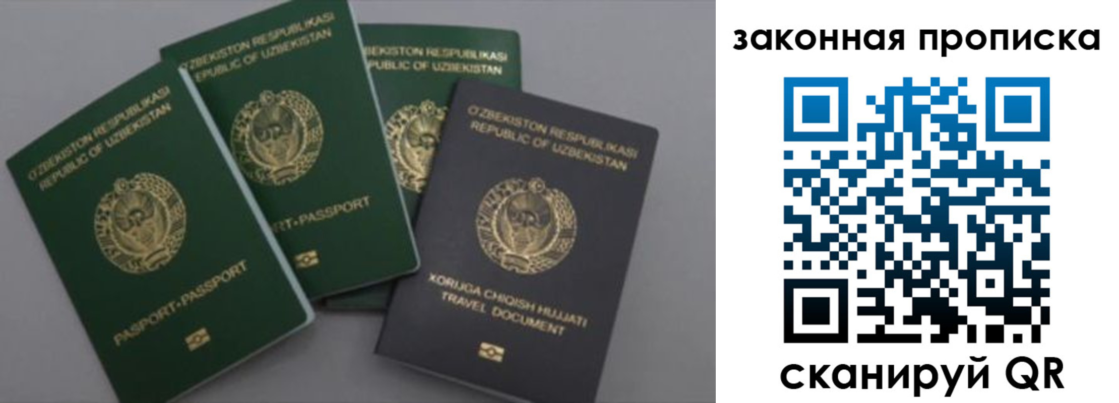прописка законно в Смоленской области